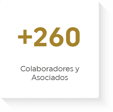 +260 Colaboradores y Asociados